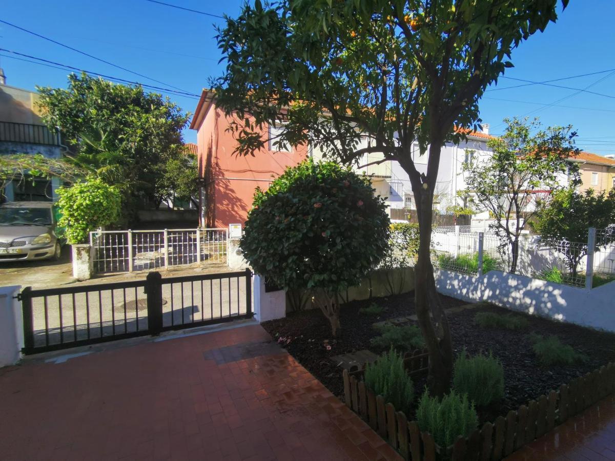 Villa Coimbra - Casa Inteira ภายนอก รูปภาพ